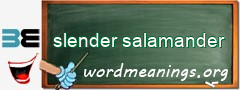 WordMeaning blackboard for slender salamander